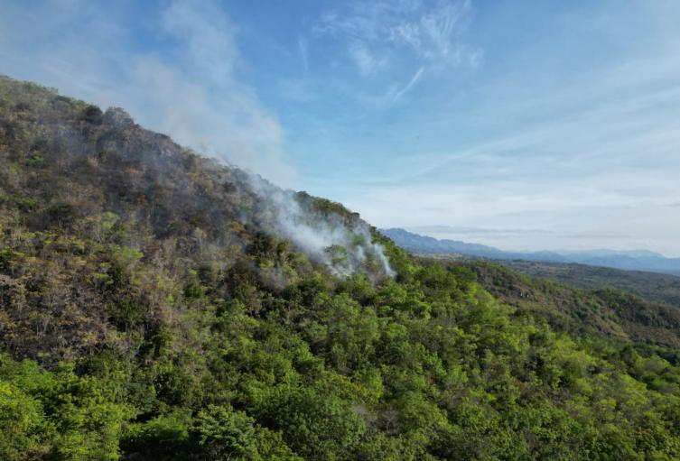 Incendio Neiva