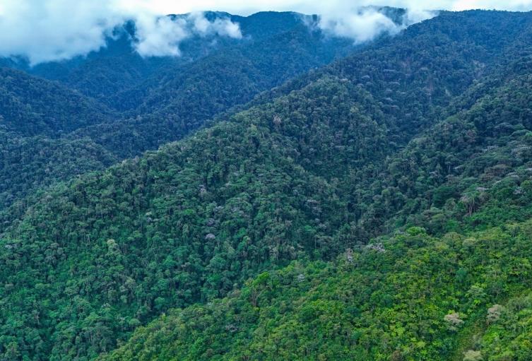 Reservas Naturales Huila