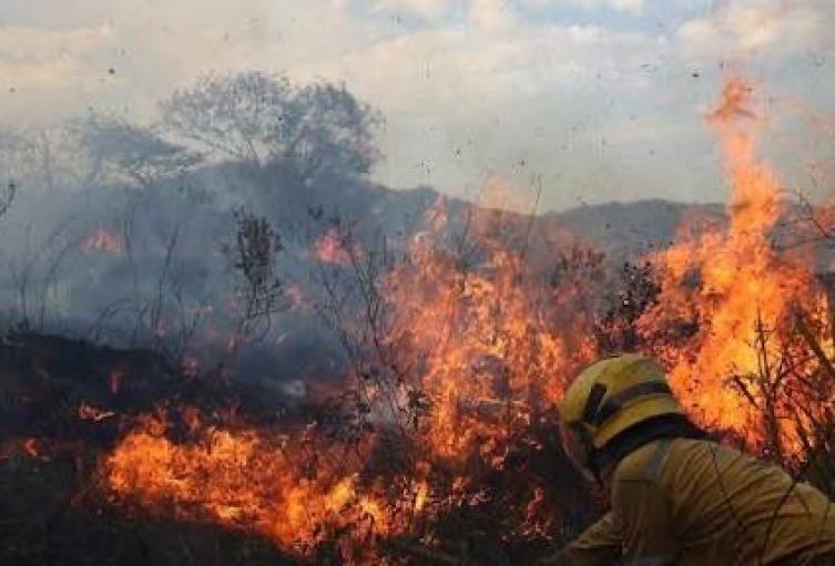27 municipios del Tolima en alerta roja por incendios forestales