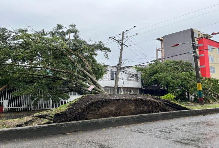 Caída de Arboles | Falta de Energía | Emergencias por Lluvias | Septiembre 2025