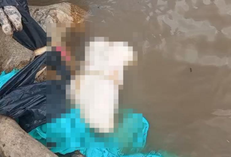 Macabro hallazgo en el río Magdalena: joven desmembrado es encontrado por pescadores