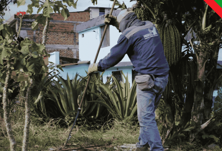 Alcaldía de Ibagué avanza en el embellecimiento de la ciudad Alcaldía de Ibagué avanza en el embellecimiento de la ciudad
