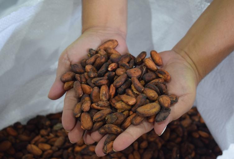 Cacao del Huila