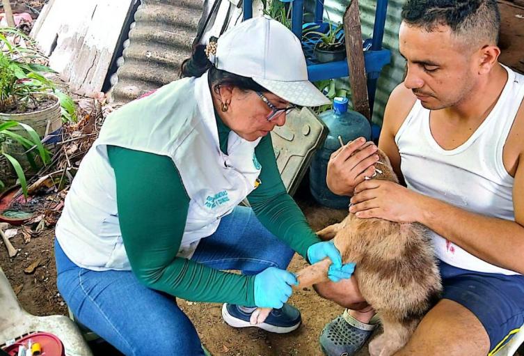 Vacunación antirrábica