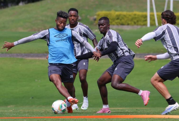 Los pijaos buscan su cuarto titulo