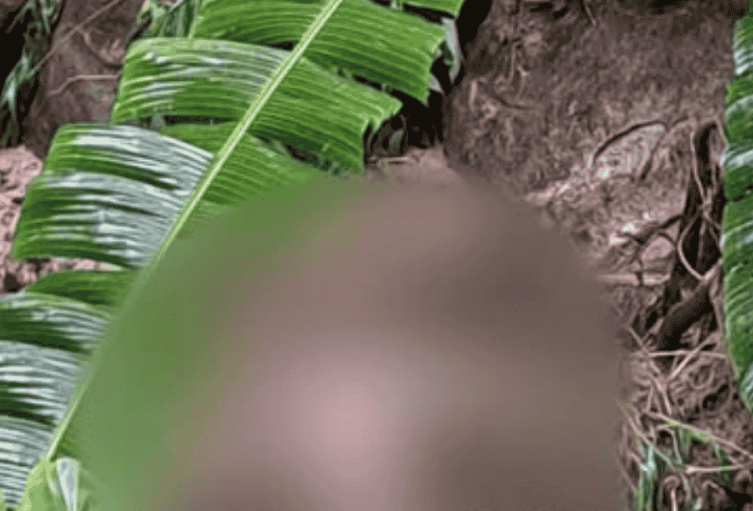 Hallazgo de un cuerpo en avanzado estado de descomposición genera preocupación en zona rural de Rovira