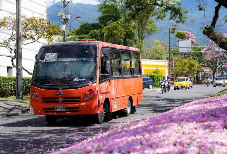 Busetas Ibagué | Buseta de transporte público | Transporte Ibagué | Diciembre 2025
