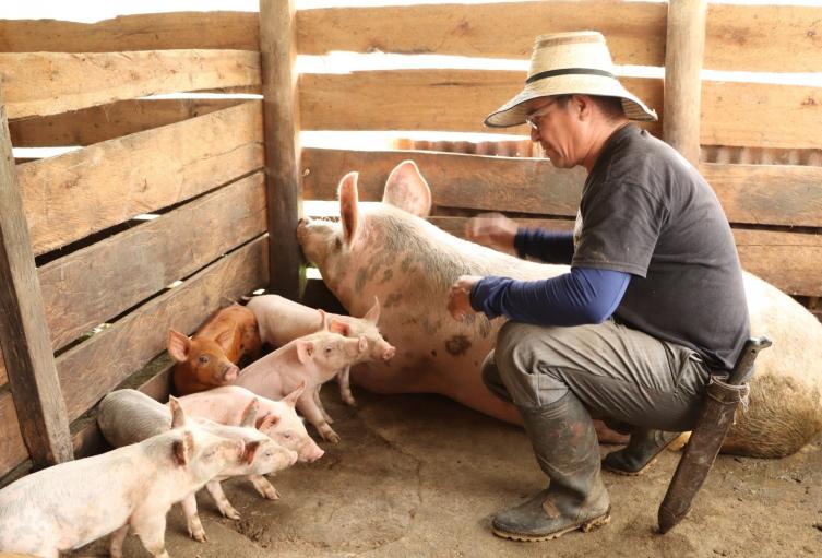 Biodigestores transforman residuos en energía