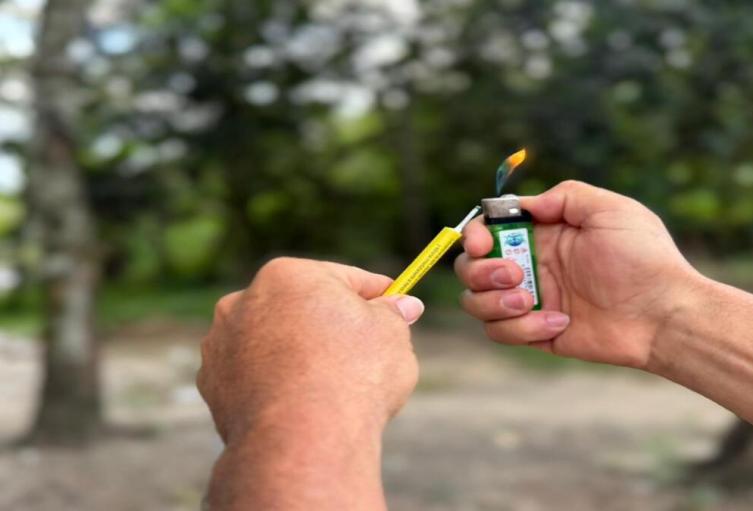 Quemados por pólvora | Quemados | Uso de pólvora | Enero 2026