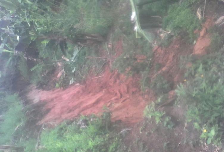 Lluvias-continúan-causando-emergencias-en-el-Tolima.jpg