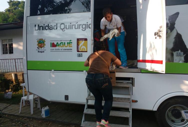 Unidad-2.jpeg