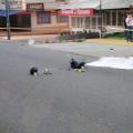 Violento choque dejó un motociclista muerto y otro herido en la 64 con Ambalá