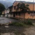 Hueco y árboles en plena vía pública 