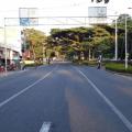 Día sin carro y sin moto en Ibagué