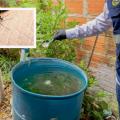 Dengue Huila
