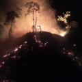 Incendios forestales en Tolima | Hectáreas afectadas | Alpujarra | Ibagué | Septiembre 2024
