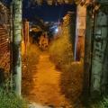 A bala asesinaron a Mauricio Torres en la invasión Porvenir en Ibagué