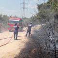 Natagaima ha alcanzado los 42 grados centígrados de temperatura.