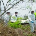 Hallaron el cuerpo sin vida de un hombre en la vereda Chucuní, zona rural de Ibagué