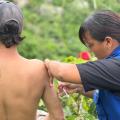 Vacunación fiebre amarilla | Fiebre amarilla en Tolima | Fiebre amarilla | Noviembre 2024