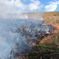 Incendio forestal en Murillo