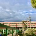 Colegio normal superior Ibagué
