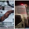 Árbol cayó sobre un camión Ibagué