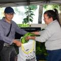 canasta campesina