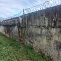 I.E Técnico Darío Echandía Oyala Ibagué