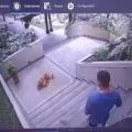 Caso de Maltrato Animal | Hombre Golpeo Animal | Maltrato Animal | Julio 2025