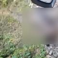 Yegua fallecida Cañón del Combeima 