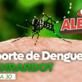 cifras dengue