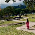 Cometas Ibagué