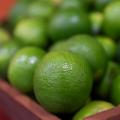 Cítricos, una apuesta productiva que crece en el Huila