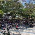 Protesta docentes Ibagué 