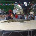 En Yaguará, Huila, se elaboró el quesillo más grande del mundo.