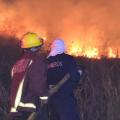 Incendios Forestales | Conflagraciones | Aumento de Incendios | Agosto 2025