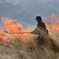 Tolima en alerta: incendios, calor extremo y riesgo de deslizamientos