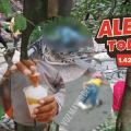 Las 5 judiciales de Alerta Tolima
