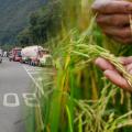 Productores e industriales logran acuerdo histórico en el precio del arroz