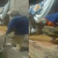 Abuelito La Gaviota