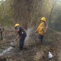 Incendios forestales en el Tolima | Incendios Tolima | Tolima | Septiembre 2025