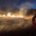 Más de mil hectáreas afectadas por incendios en el Huila