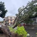 Afectaciones invierno | Lluvias Ibagué | Tormenta Ibagué | Septiembre 2025