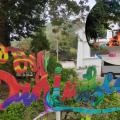Violencia San Luis