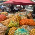 Naranjatón | Venta de Naranja | Naranjas Ibagué | Septiembre 2025