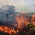 27 municipios del Tolima en alerta roja por incendios forestales