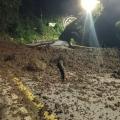 Derrumbe en la línea | Fuertes Lluvias | Temporada Invernal | Octubre 2025