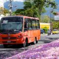 Busetas Ibagué | Buseta de transporte público | Transporte Ibagué | Diciembre 2025