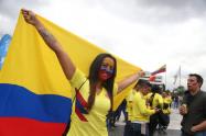 Hincha colombia